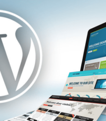 Секрет популярности Wordpress для создания информационных сайтов